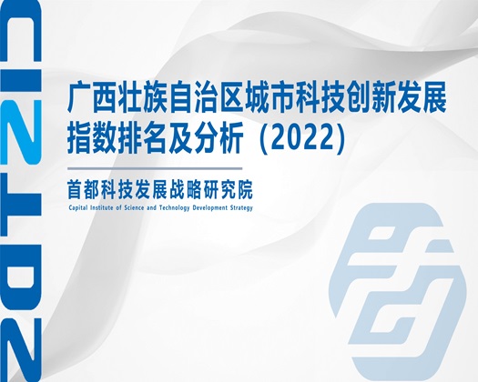 猛屌德国老肥婆【成果发布】广西壮族自治区城市科技创新发展指数排名及分析（2022）